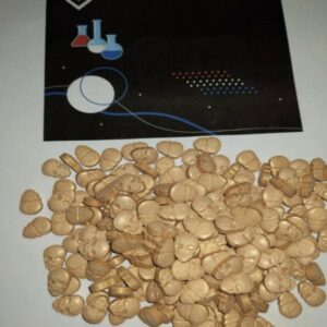 [500x] 250mg "My Brand" XTC pills [FREE SHIPPING]