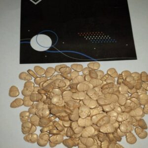 [10x] 250mg "My Brand" XTC pills [FREE SHIPPING]