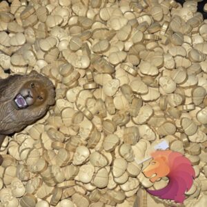 1000x - Xtc Golden MyBrand 300 MG / Ghost Stealth / Lowest Price