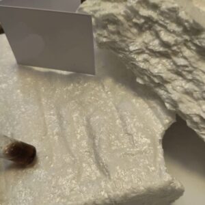 1G PURE POWDER