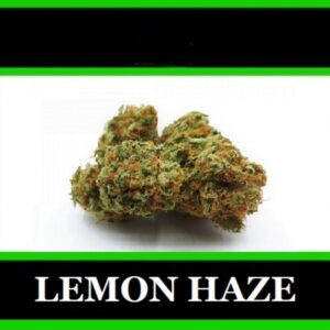 ★ 1 Gram LEMON HAZE ★