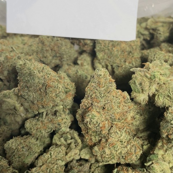 Marshmallow Milk - Indoor ($110/OZ - $1650/LB)