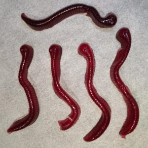 5 x GUMMY SNAKE Edibles - containing world famous RSO Rick Simpson Oil - 25mg THC - Raspberry Flavour