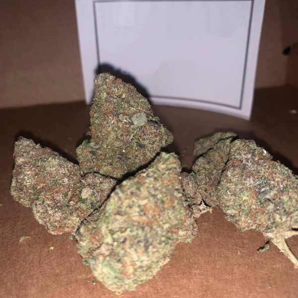 14g Cannalope Haze A+++ PREMIUM | FREE NDDuk