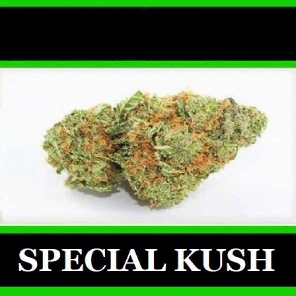 ★ 10 Gram SPECIAL KUSH ★