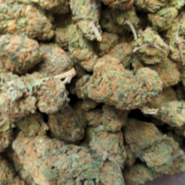448g / 1 pound Blue kush AAA indoor
