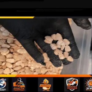 100X - XTC MYBRAND 300MG / FREE SHIPPING