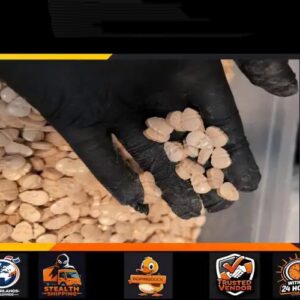 250X - XTC MYBRAND 300MG / FREE SHIPPING