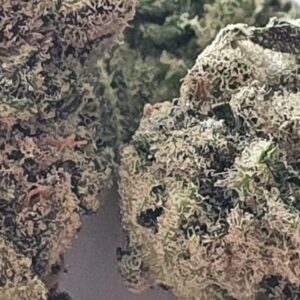 Cali 97% THC RAW Delta-9 Distillate 1g Syringe Free Post