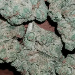 (14g) THE NIRVANA SPECIAL - UNITED KINGDOM