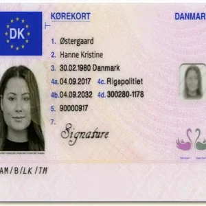Buy Danish Driver License