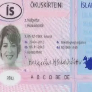 Buy Iceland Driver License