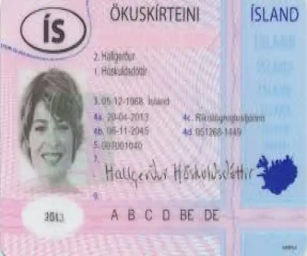 Buy Iceland Driver License