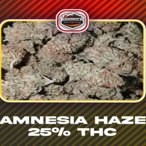 5g Amnesia Haze 25% THC Free Shipping