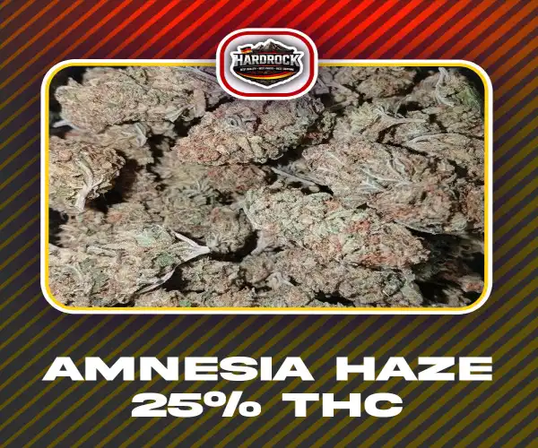 5g Amnesia Haze 25% THC Free Shipping