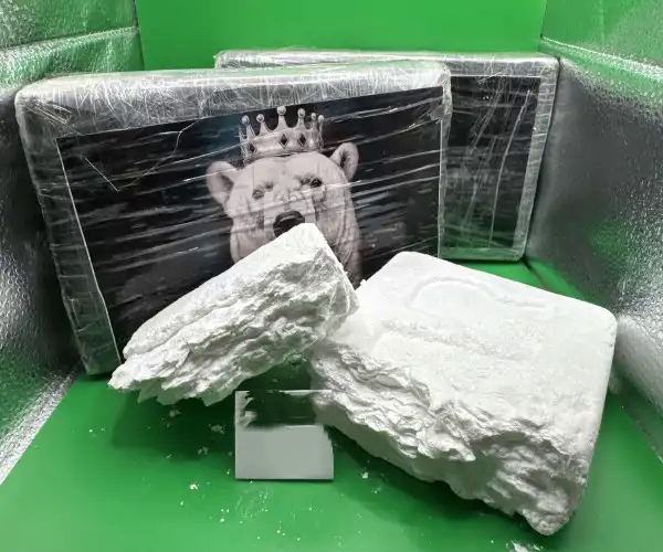 Bolivian OG Cocaine 96%+ 10g