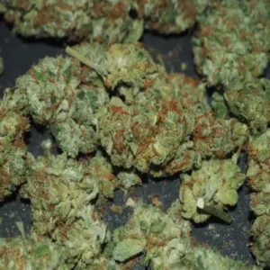 (28g) Lady Bird - United Kingdom NEXT DAY