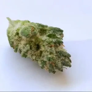 (28g) Funky Pine - United Kingdom NEXT DAY