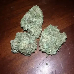 (7g) Animal Face - UNITED KINGDOM NDD