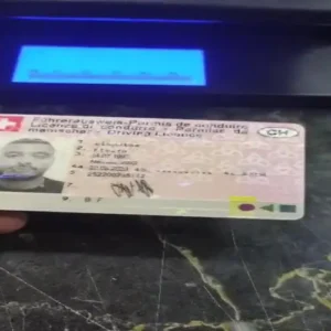Swiss Driver License (Schweizer Führerschein)