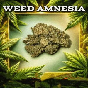 Amnesia Haze 1000G 4100€ ( price is negotiable)