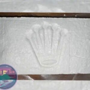1kg Standard Cocaine Lab tested 87%