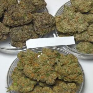 1oz Mystery Bag! (EXOTIC Indoor w/ Free Ship)