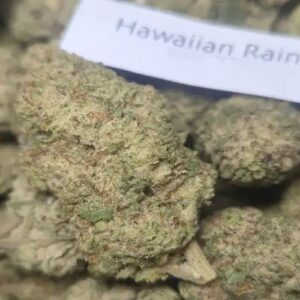 Hawaiian Rain 1oz | Free Ship! | AAA Indoor