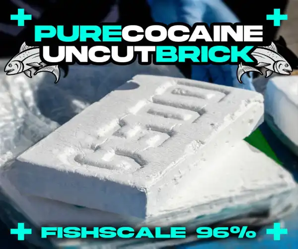 5 gr - HQ Pure Fishscale Cocaine Brick 96%