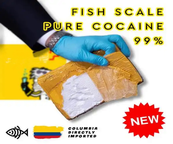1 gr - FishScale Cocaine(NEWBATCH: better quality)