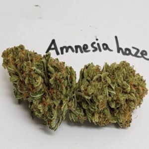 Amnesia marijuana Sativa 14 gram