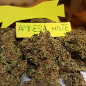 Amnesia Top Shelf 7 gram