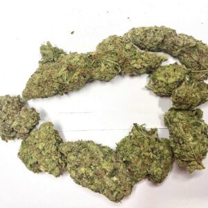 15g Utopia Haze -Premium Quality-