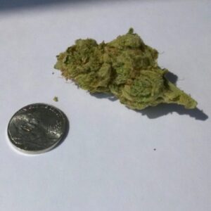 Indoor Cannabis, Pound