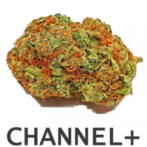 20g ** CHANNEL + ** Top Shelf Indoor