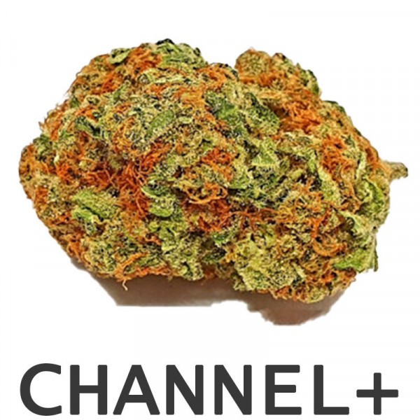 20g ** CHANNEL + ** Top Shelf Indoor