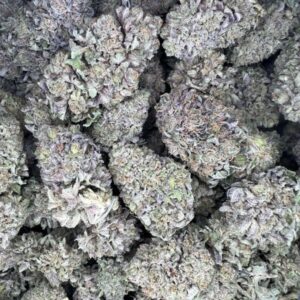 $ Top-Shelf PURPLE JELLATO A+++ $170 (US to US) free shipping