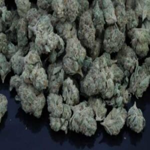 (Indoor) Ice Cream Cake Flower 1oz [FREE SHIPPING!]