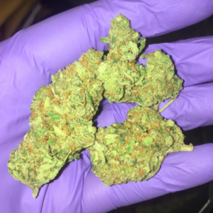 3.5g Amnesia Haze Spain to Europe