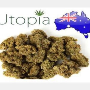 1 GRAM - HYDRO - BUDS - WEED