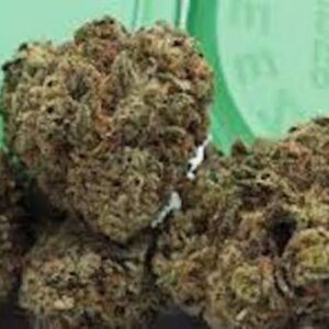 28gr of Bubba Kush - Amsterdam Import / THC 24% / NDD