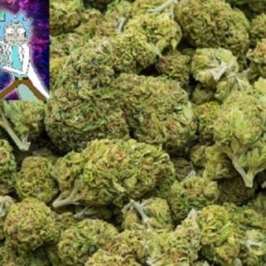0.5 OZ / 14 GR PROMOTION SALE High Quality Dutch Amnesia/Haze Weed Buds