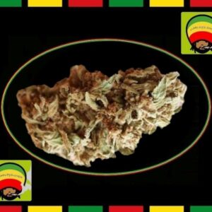 50g ✿CANNALOPE ✿ (outdoor)