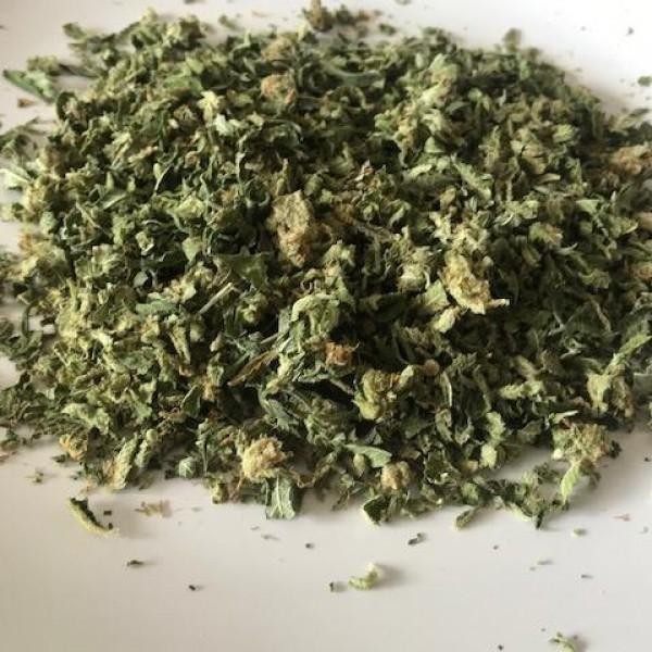 30 grams Cannabis shake, trim, little buds, premium quality. Jolly Green Giant!