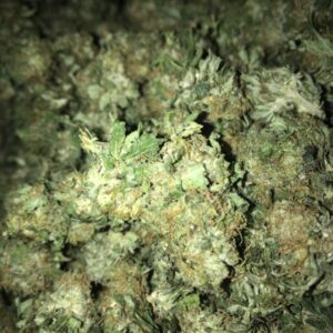WHITE WIDOW 28g