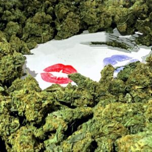 ✅✅✅ 2g White Widow Premium ✅✅✅