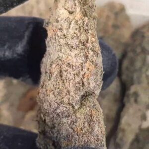 7G Gorilla Cookies (CALI DISPENSARY)