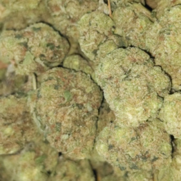 448 g / 1 pound Kush AAAA (Greenhouse)