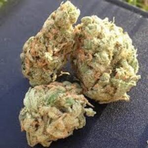 3.5gr of PineQueen Haze - Import - THC 20% / High Quality