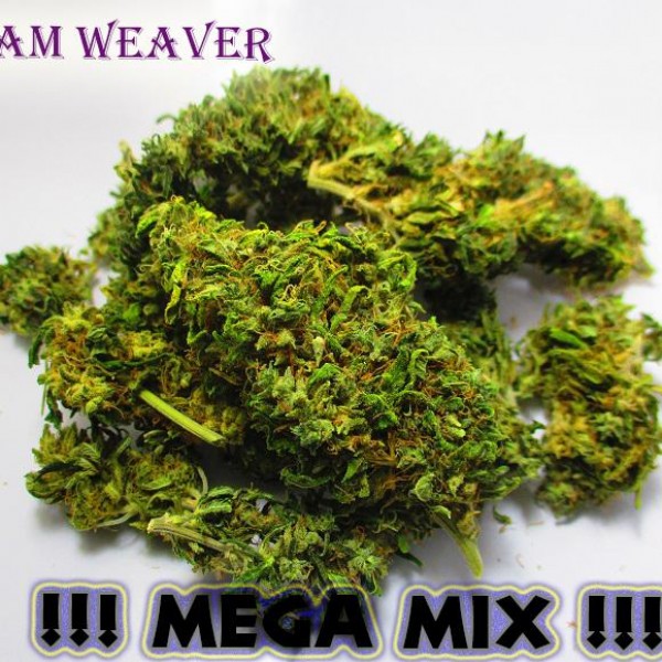 14g THE MEGA MIX IS BACK!! / Over 15 strains in this awesome shake mix! / DreamWeaver / UK
